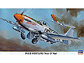 [1/48] P-51D MUSTANG 