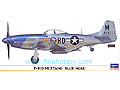 [1/72] P-51D MUSTANG 