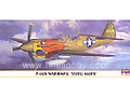 [1/72] P-40N WARHAWK 