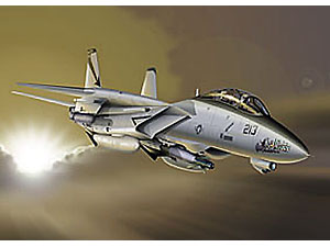 [1/72] F-14A BOMBCAT
