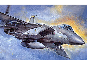 [1/48] F-15C/D EAGLE (w/ ũ)