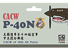 [1/144] P-40N CACW of 14th Air Force