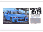 [38] '95 SKYLINE R33 GTR - OWNER'S CLUB SERIES
