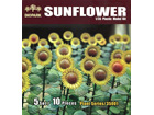[1/35] Sunflower