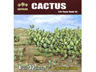 [1/35] Cactus