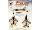 F-16 31 Squadron 20th Anniversary