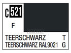 TEERSCHWARZ RAL9021 [F]