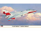 [1/72] F-14B TOMCAT 