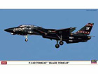 [1/72] F-14D TOMCAT 