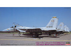 [1/72] F-15J EAGLE 
