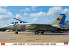 [1/72] F-14D TOMCAT 