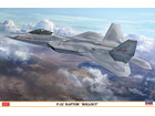 [1/48] F-22 RAPTOR 