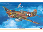 [1/32] P-40K WARHAWK