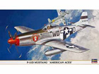 [1/48] P-51D MUSTANG 