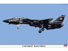 [1/48] F-14D TOMCAT 