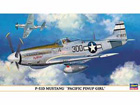 [1/48] P-51D MUSTANG 