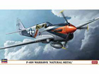 [1/48] P-40N WARHAWK 