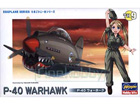 P-40 WARHAWK - EGGPLANE SERIES
