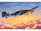 [1/48] Focke-Wulf FW190D-10