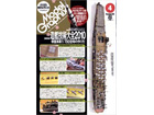 Model Graphix 2010-04 (No.305)
