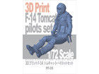 [1/72] 3D Print F-14 Tomcat pilot set