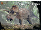 [1/24] Triceratops Dinosaur