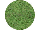 [MDP-10] Powder Foliage - SUMMER GRASS [Grass Height: 4.0mm]