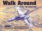 Walk Around F/A-18 Hornet