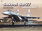 Walk Around - Sukhoi Su-27 Flanker