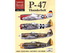 P-47 Thunderbolt - famous Aircraft of the world