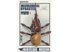 [Non] MARVELOUS MUSEUM - Mechanical Dynastes