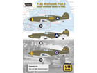 P-40 Warhawk Part.3 - USAAF Warhawk Service in WW2