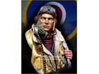 BATTLE OF BRITAIN - RAF Pilot WWII
