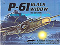 P-61 BLACK WIDOW in action