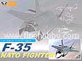 F-35 NATO FIGTHER