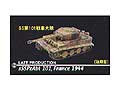 [1/144] sSSPzAbt 101, France 1944  - LATE PRODUCTION