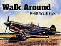 P-40 Warhawk - Walk Around