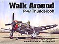 P-47 Thunderbolt Walk Around