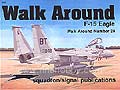 Walk Around F-15 Eagle