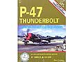 P-47 Thunderbolt in detail & scale