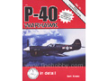 P-40 WARHAWK in detail & scale PART2(P-40D - XP40Q)