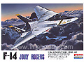 [1/144] F-14 JOLLY ROGERS